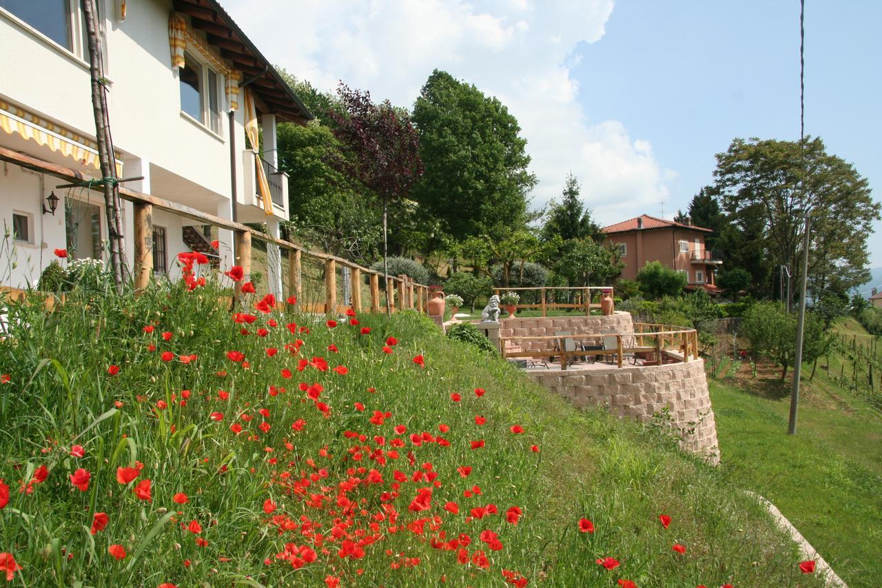 B&B Maggiora 131 Acqui Terme Eksteriør billede